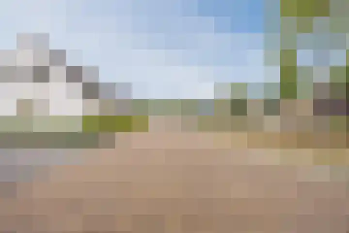 Boekelsedijk 5 Uden thumbnail 73