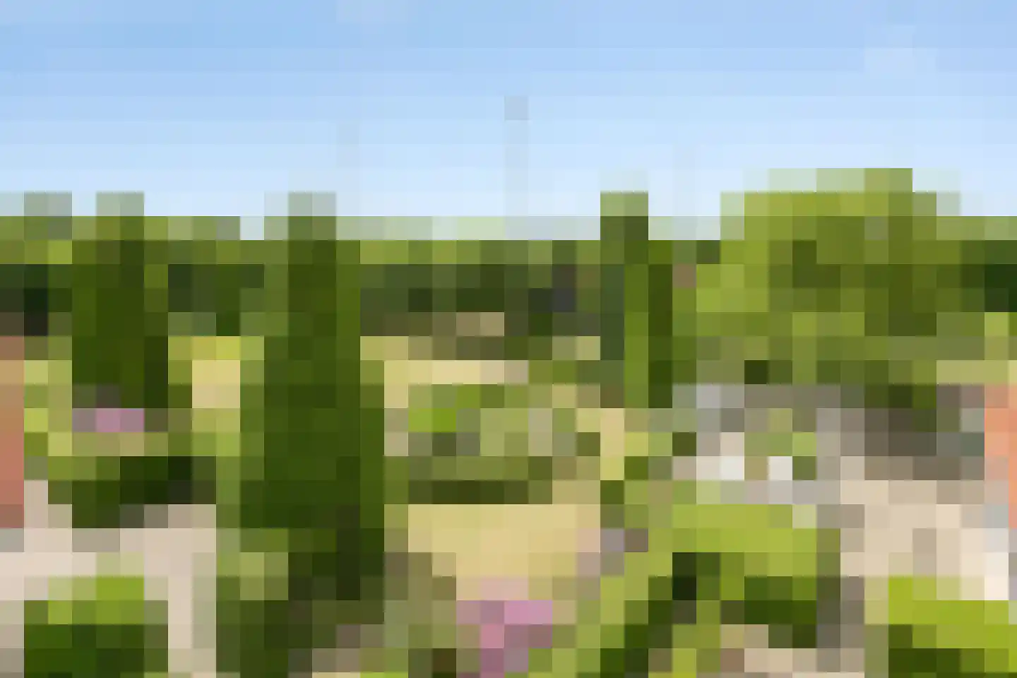 Boekelseweg 26 Handel thumbnail 10