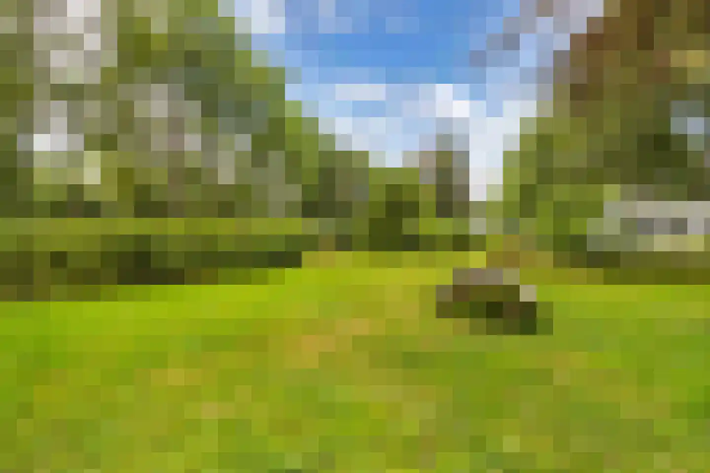 Boekelterweg 13 Boijl thumbnail 52
