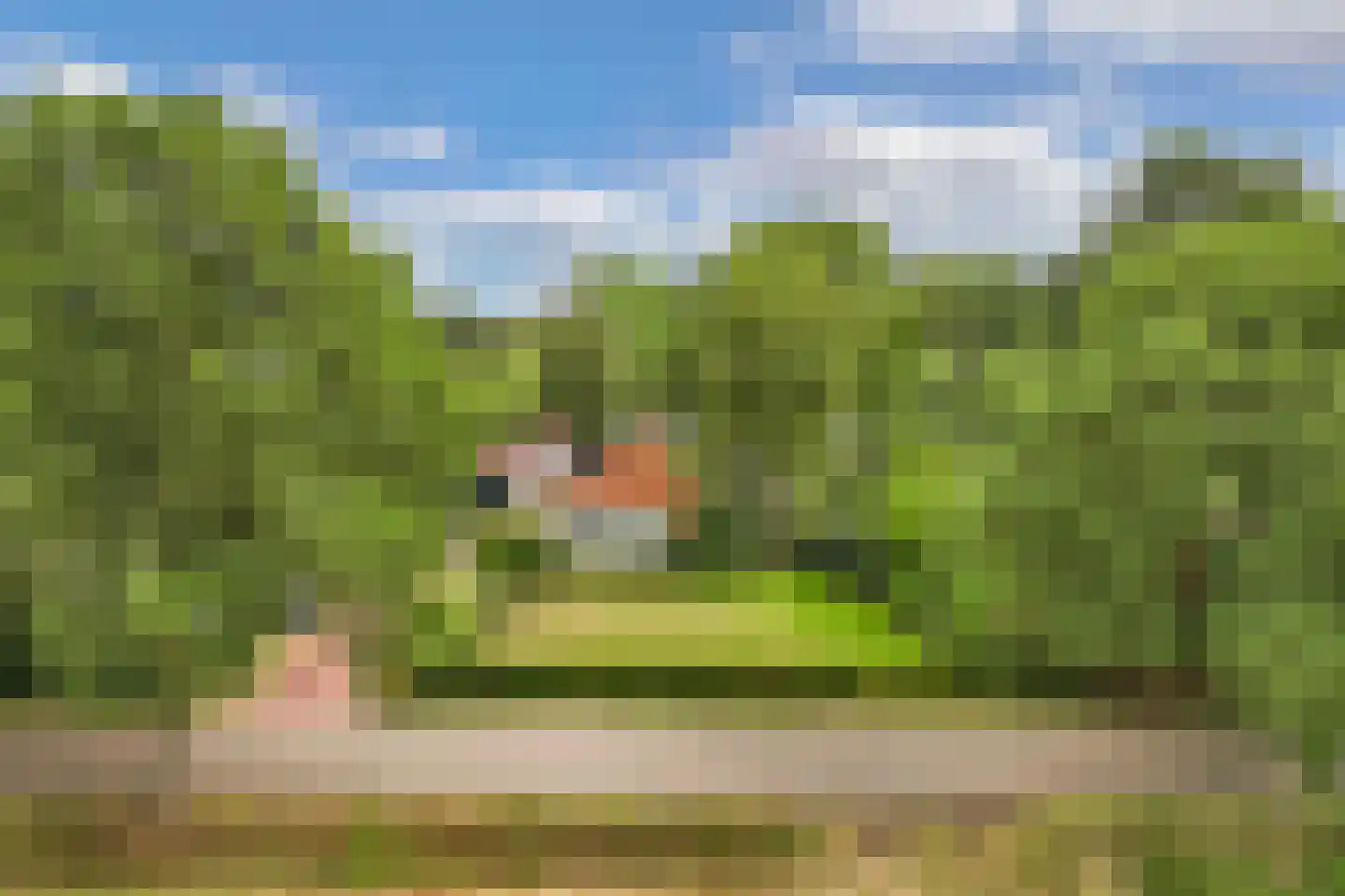 Boekelterweg 13 Boijl thumbnail 7