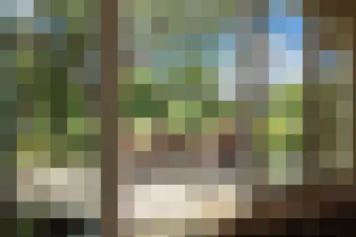 Boekelterweg 16 Boijl thumbnail 13