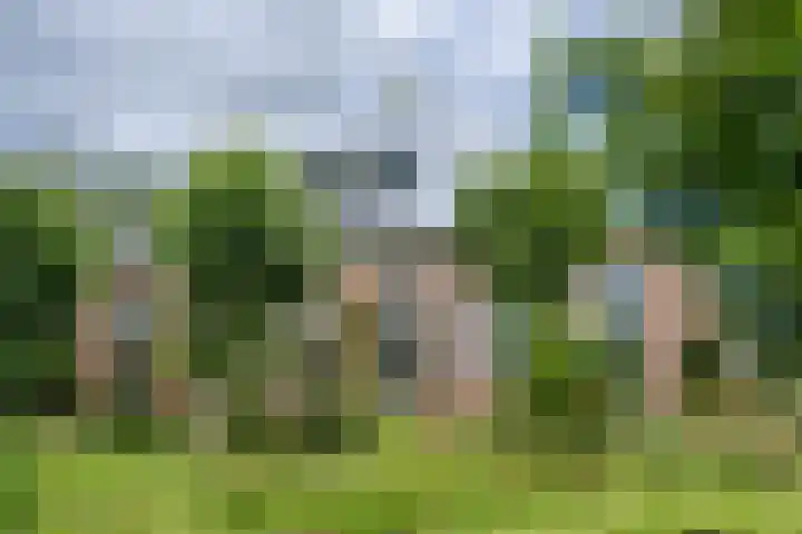 Boekelterweg 16 Boijl thumbnail 36