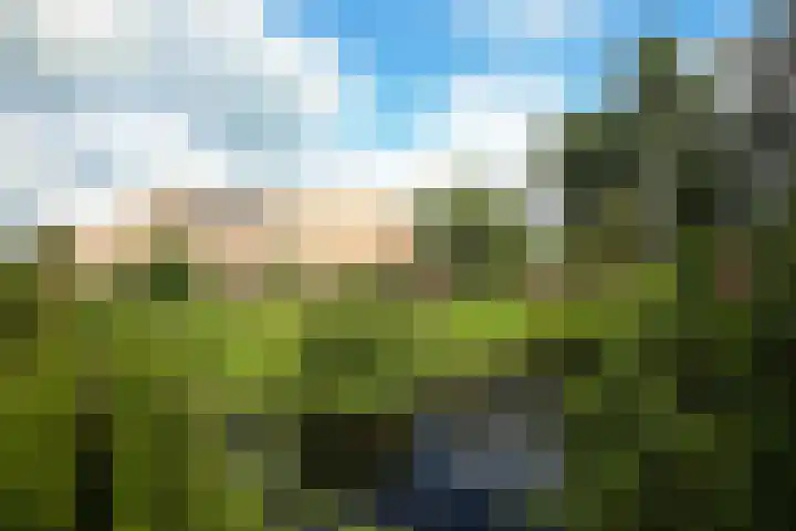 Boekelterweg 16 Boijl thumbnail 4