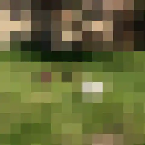 Boekelterweg 16 Boijl thumbnail 42