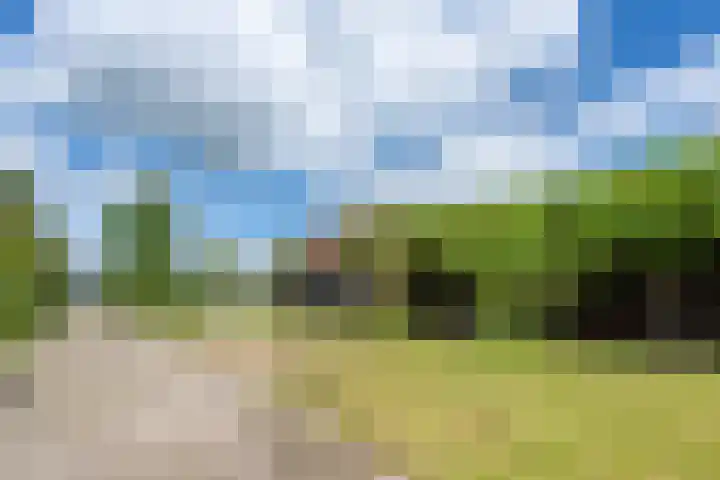 Boekelterweg 16 Boijl thumbnail 45