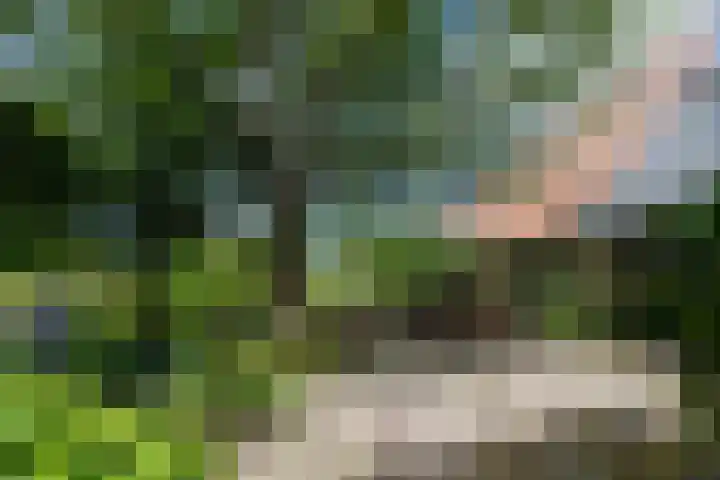 Boekelterweg 16 Boijl thumbnail 47