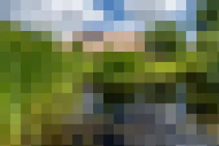 Boekelterweg 16 Boijl thumbnail 48