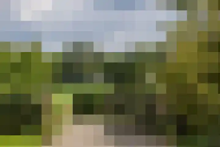 Boekelterweg 16 Boijl thumbnail 5
