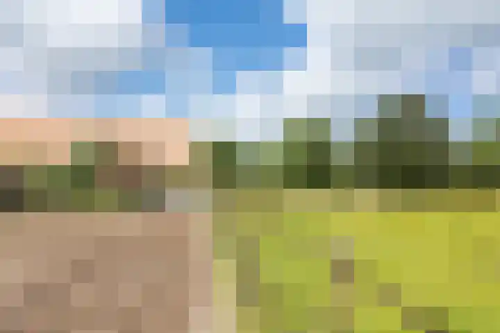 Boekelterweg 16 Boijl thumbnail 50