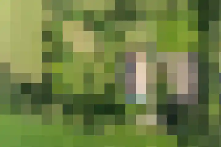 Boekelterweg 16 Boijl thumbnail 51