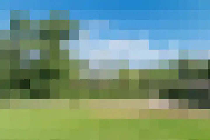 Boekelterweg 16 Boijl thumbnail 54