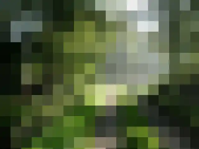 Boekelterweg 16 Boijl thumbnail 59