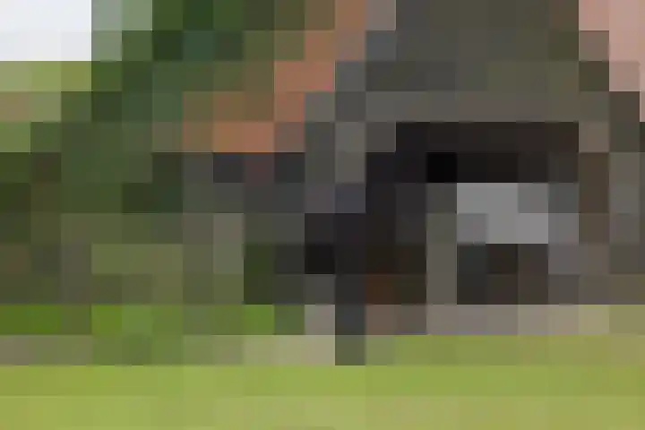 Boekelterweg 16 Boijl thumbnail 6