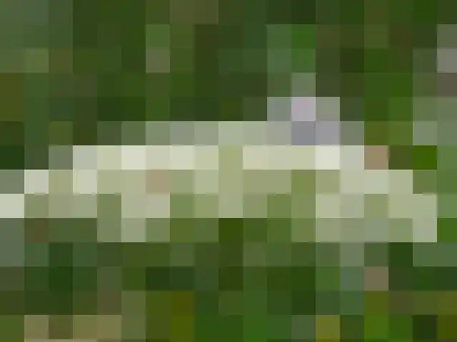 Boekelterweg 16 Boijl thumbnail 61