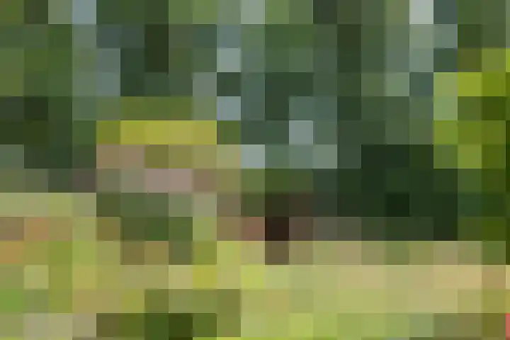 Boekelterweg 16 Boijl thumbnail 7