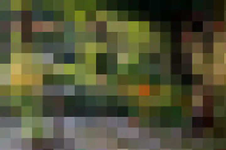 Boekelterweg 16 Boijl thumbnail 8