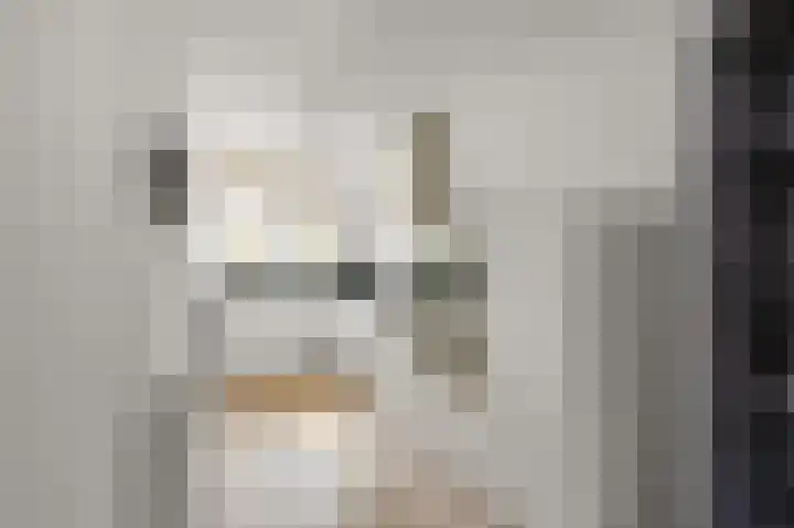 Boekenbergpark 18 Assendelft thumbnail 10