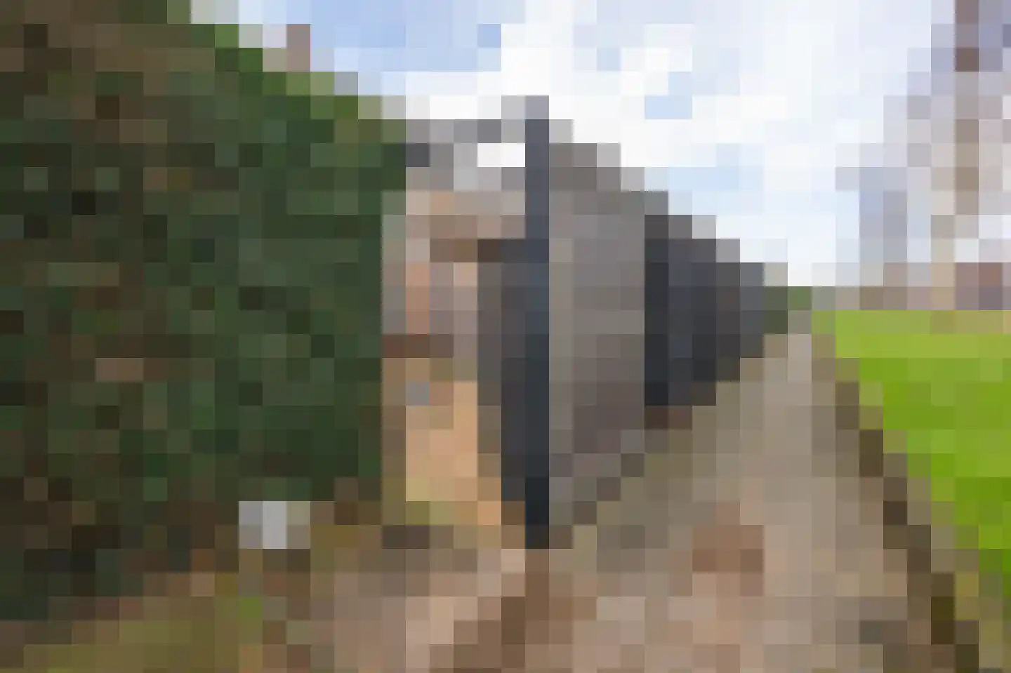 Boekenbergpark 18 Assendelft thumbnail 35