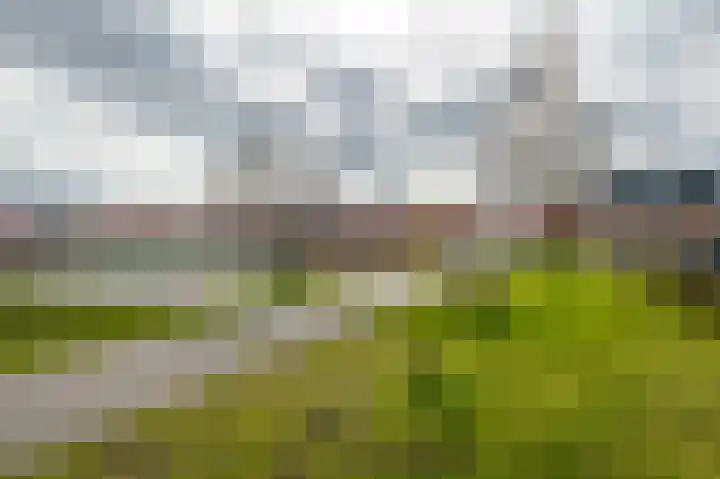 Boekenbergpark 18 Assendelft thumbnail 40