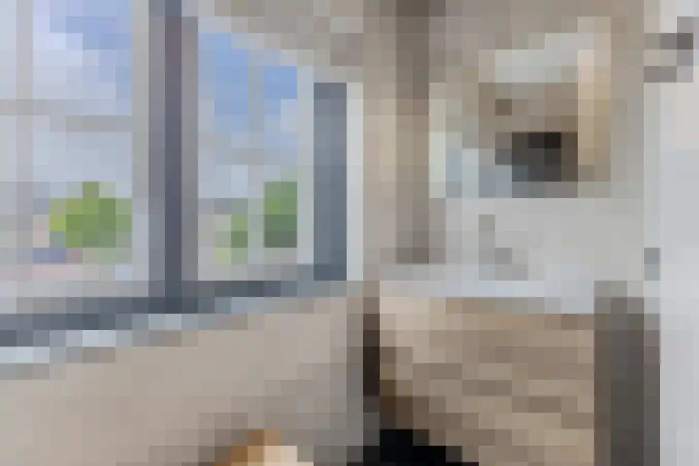 Boekenbergpark 24 Assendelft thumbnail 18
