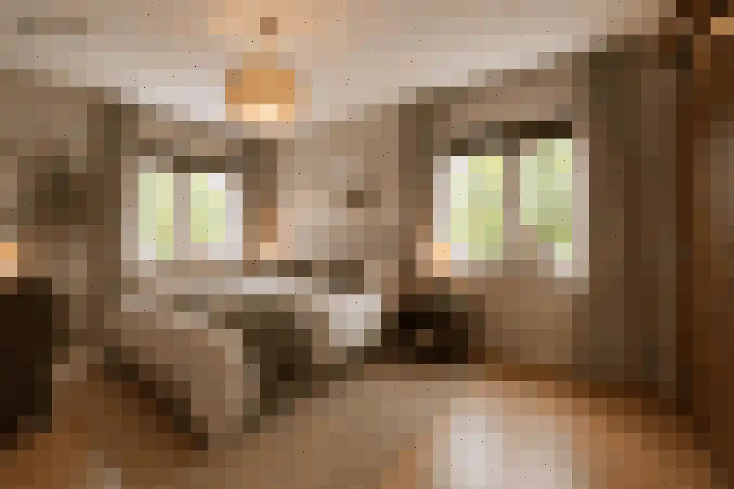 Boekenbergpark 24 Assendelft thumbnail 23