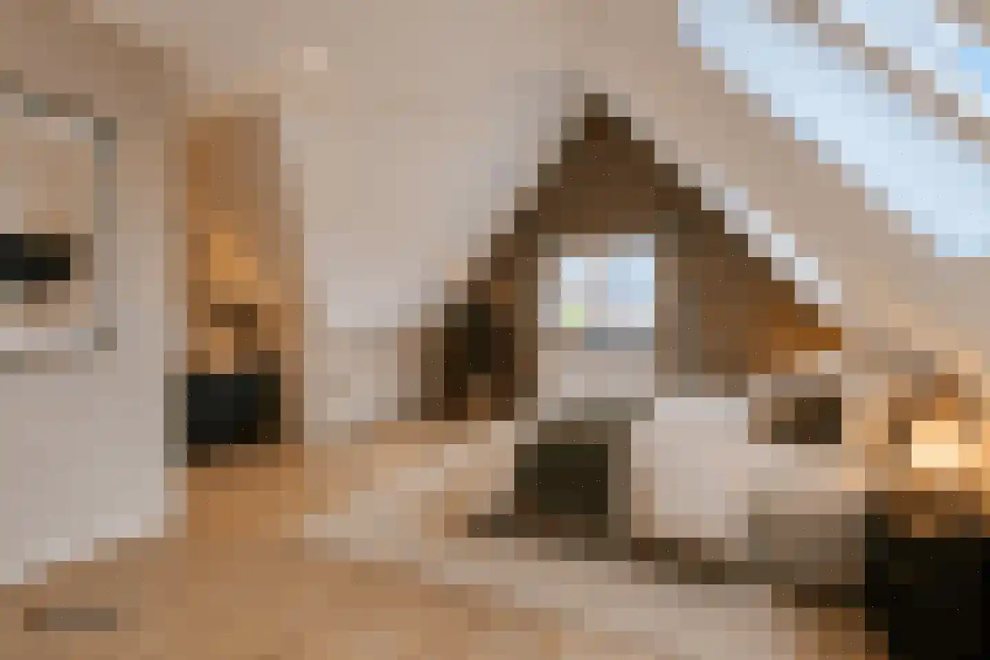 Boekenbergpark 24 Assendelft thumbnail 27