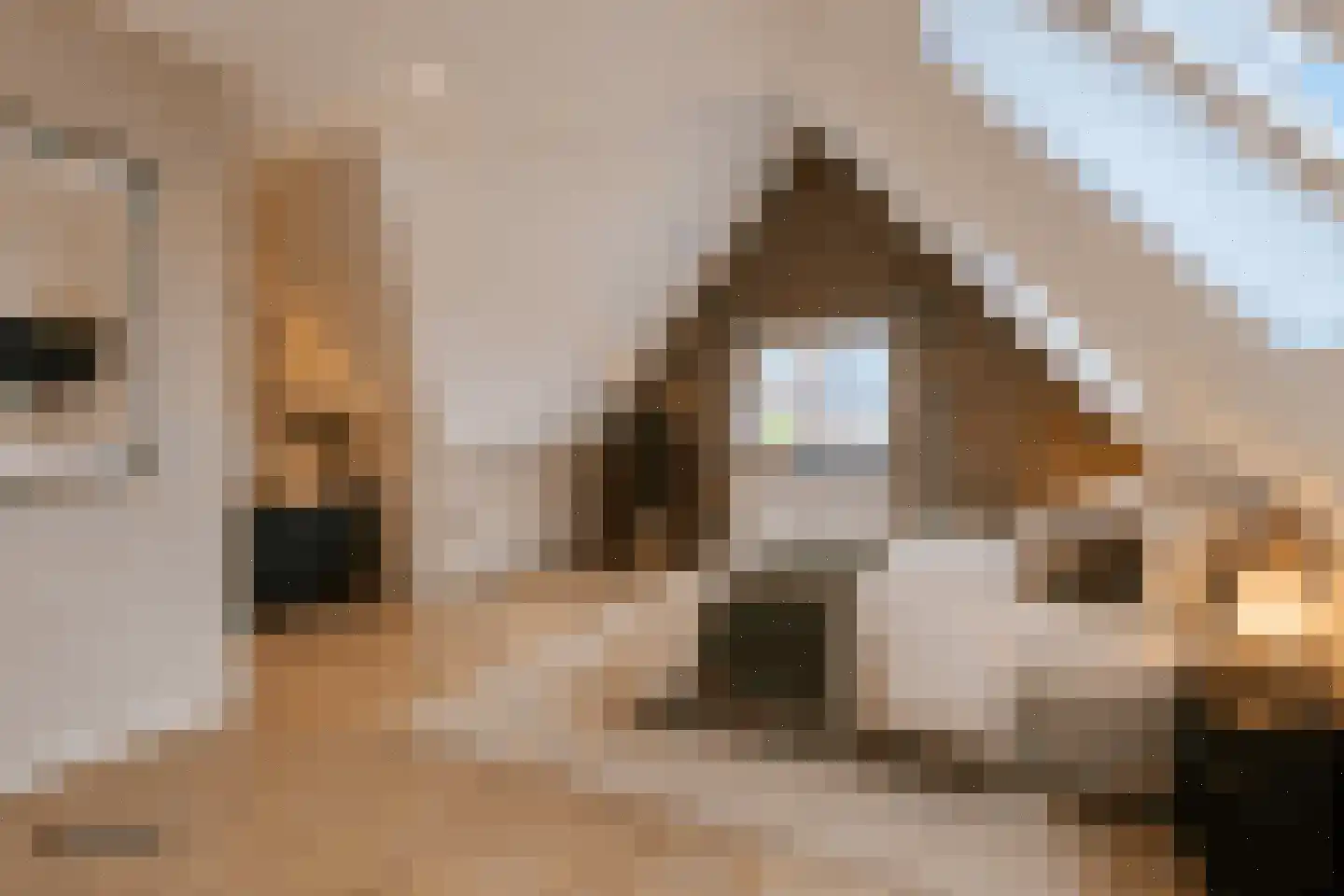 Boekenbergpark 24 Assendelft thumbnail 34