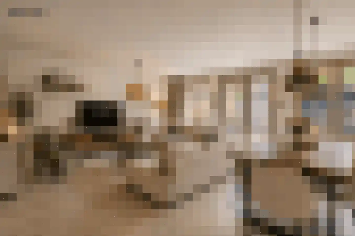 Boekenbergpark 24 Assendelft thumbnail 7