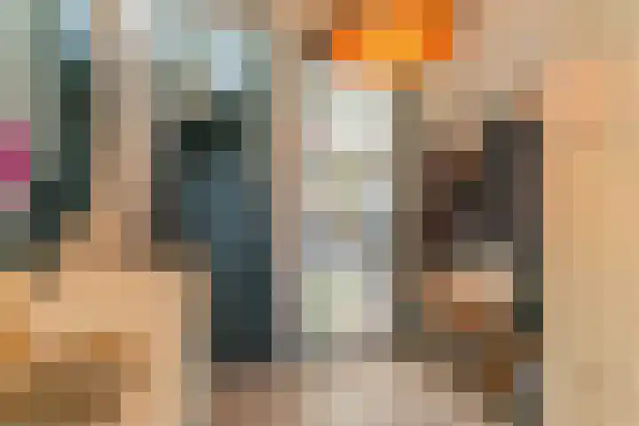 Boekenburglaan 102 Voorhout thumbnail 11