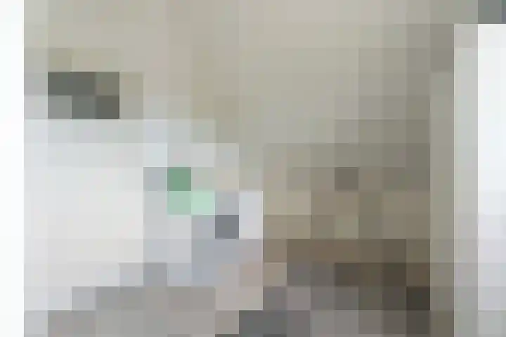 Boekenburglaan 102 Voorhout thumbnail 20