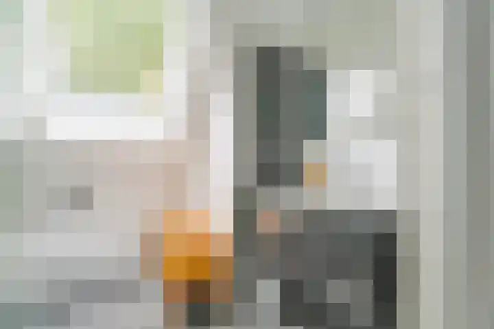 Boekenburglaan 102 Voorhout thumbnail 21