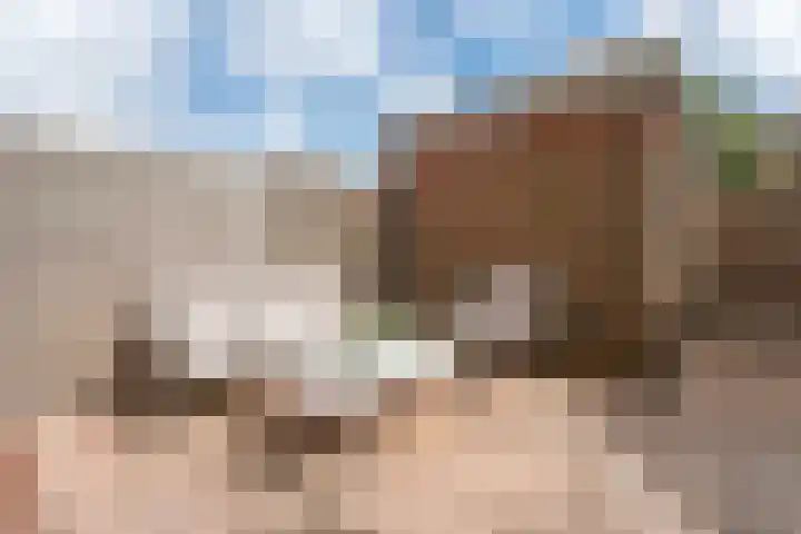 Boekenburglaan 102 Voorhout thumbnail 25