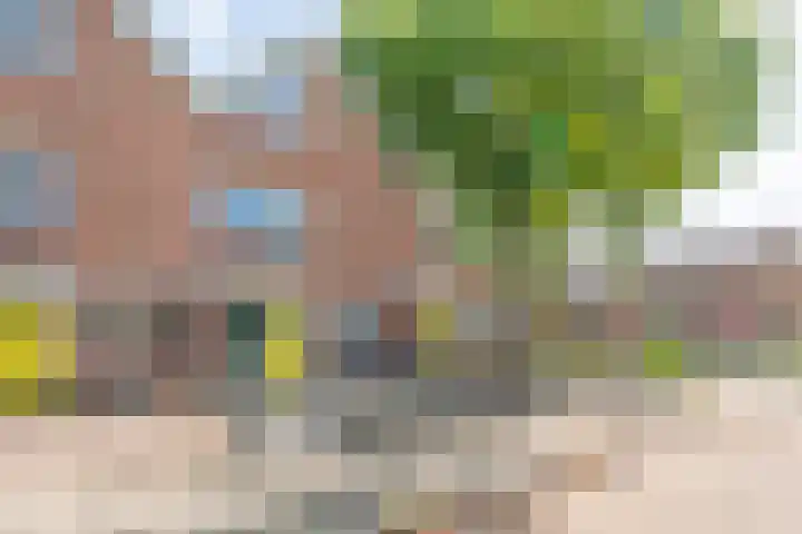 Boekenburglaan 102 Voorhout thumbnail 28