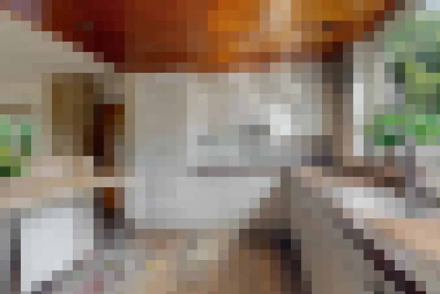 Boekenburglaan 103 Voorhout thumbnail 13