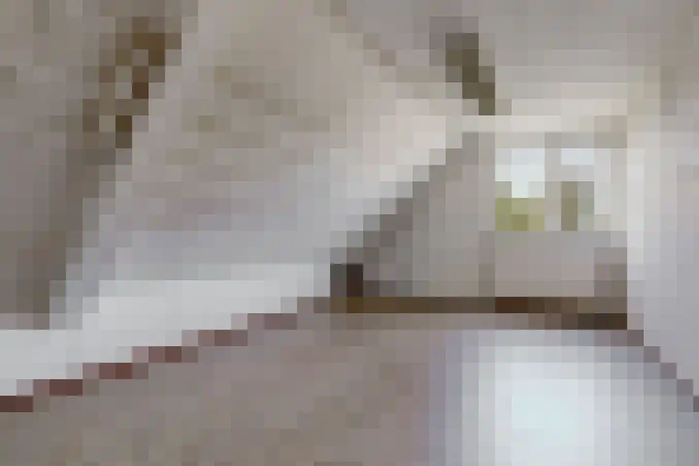 Boekenburglaan 103 Voorhout thumbnail 37