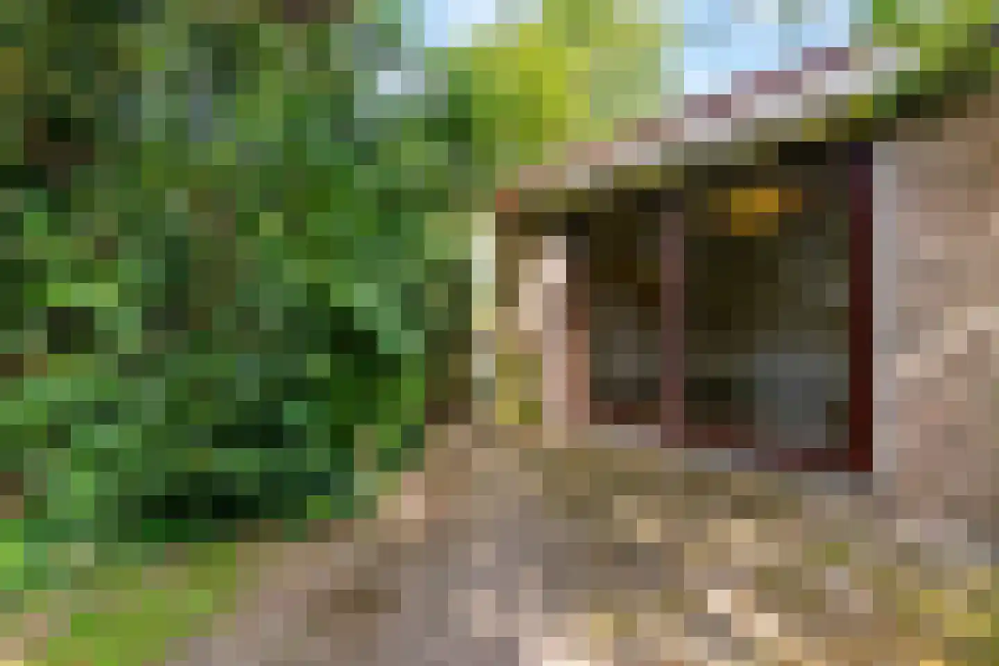 Boekenburglaan 103 Voorhout thumbnail 57