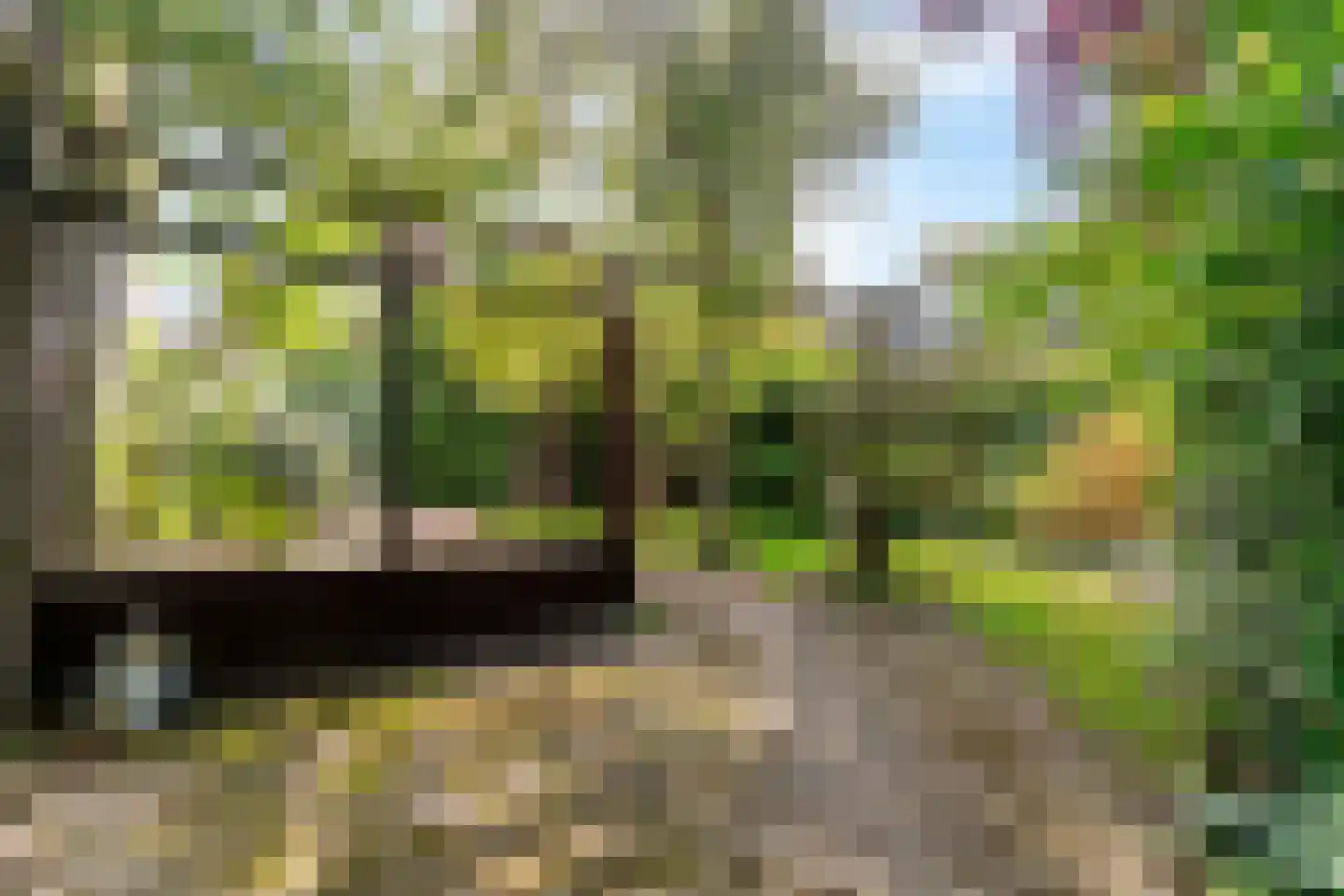 Boekenburglaan 103 Voorhout thumbnail 58