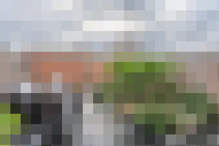 Boekenburglaan 106 Voorhout thumbnail 26