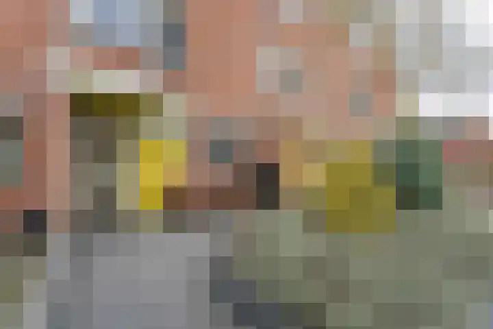 Boekenburglaan 106 Voorhout thumbnail 30