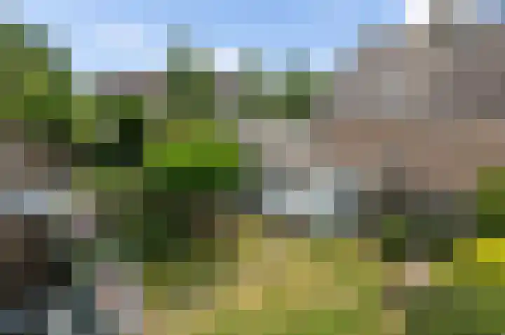 Boekenburglaan 153 Voorhout thumbnail 33