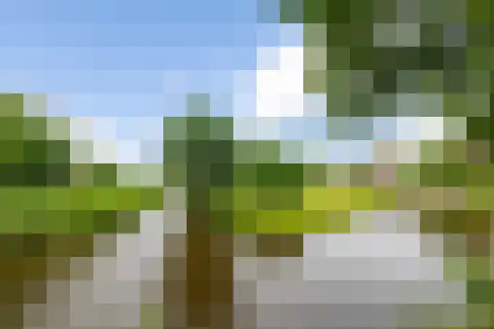 Boekenburglaan 153 Voorhout thumbnail 40