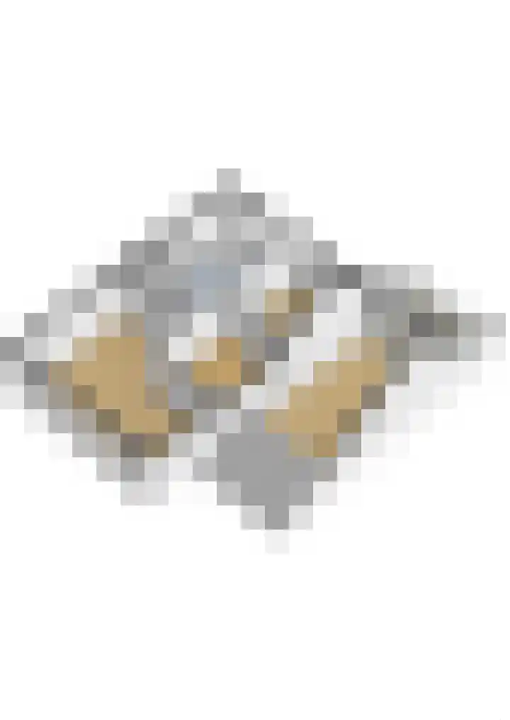 Boekenburglaan 153 Voorhout thumbnail 47