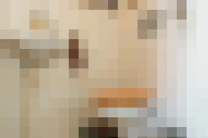 Boekenburglaan 18 Voorhout thumbnail 10