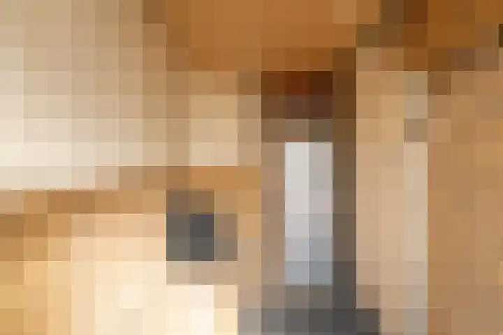 Boekenburglaan 18 Voorhout thumbnail 24