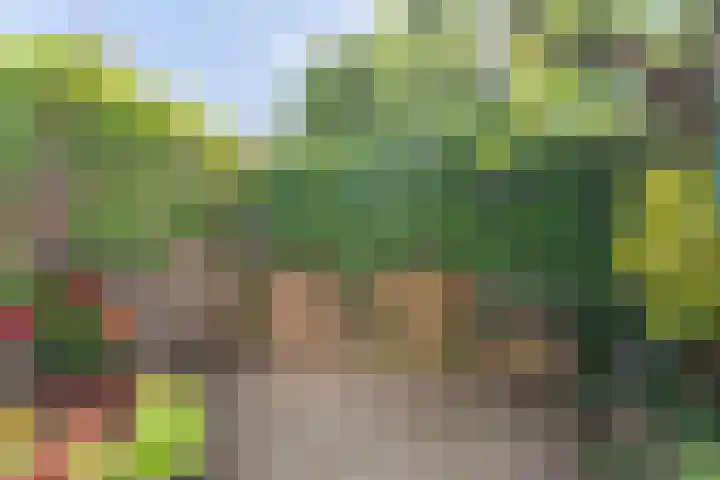 Boekenburglaan 18 Voorhout thumbnail 26