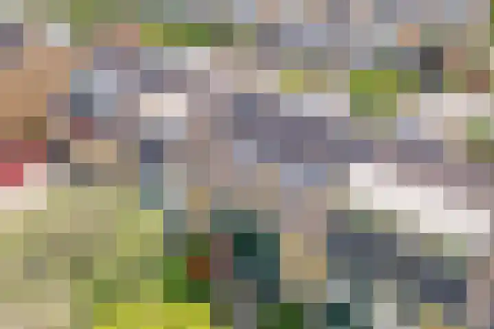Boekenburglaan 18 Voorhout thumbnail 29