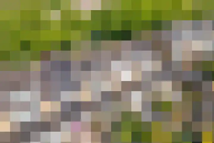 Boekenburglaan 18 Voorhout thumbnail 33