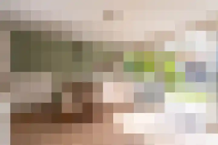 Boekenburglaan 8 Voorhout thumbnail 10