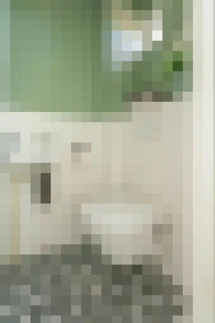 Boekenburglaan 8 Voorhout thumbnail 12
