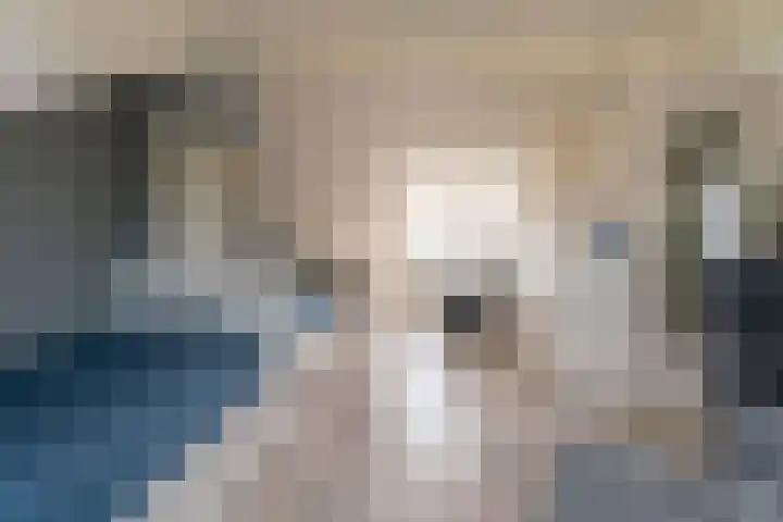 Boekenburglaan 8 Voorhout thumbnail 22